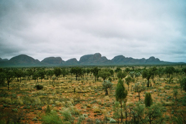 Olgas32A