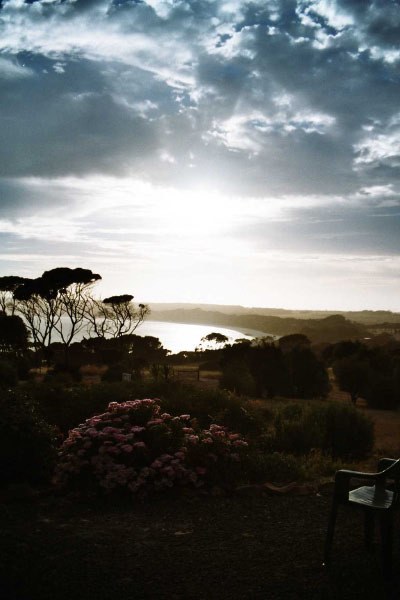 kangaroo island29a