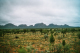 Olgas32A