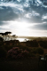 kangaroo island29a