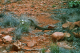 tierwelt6a