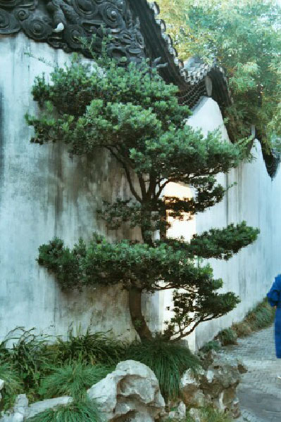 gartenkunst