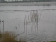 Bremerhaven - 2006A