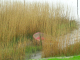 Bremerhaven - 2006B