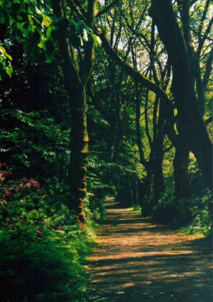 herten-mitte - schlosspark - weg