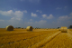 DSC_0488