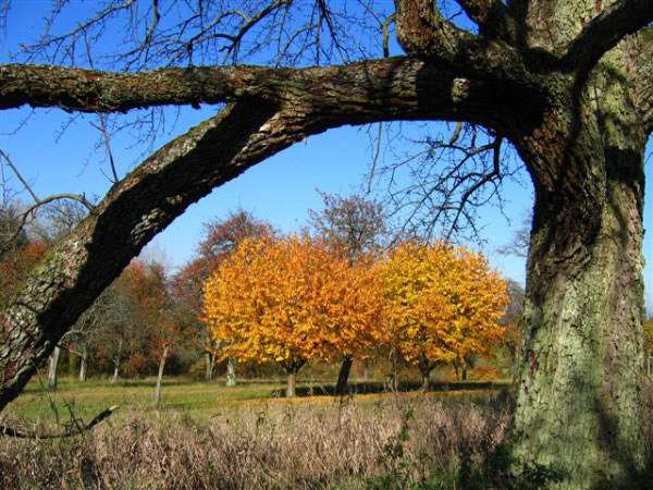 Oktober 2005 (23)
