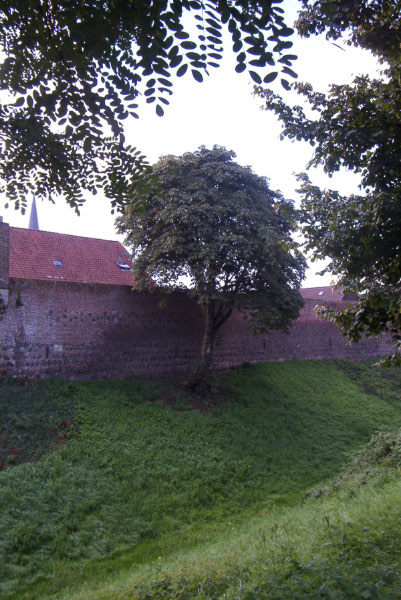 IM004285