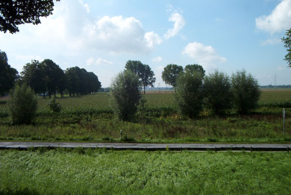 IM004309