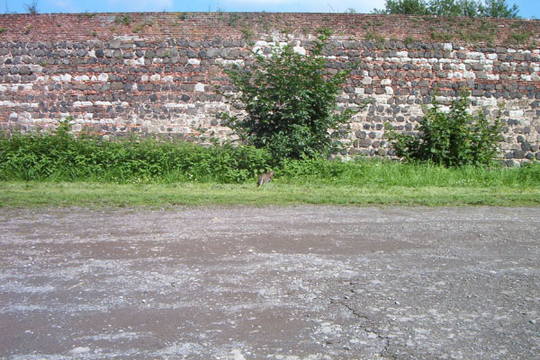 IM004321
