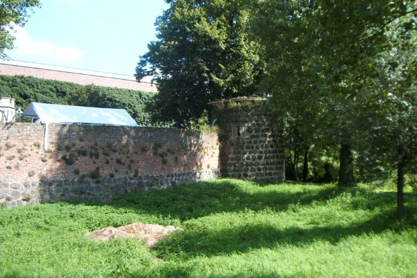 IM004335