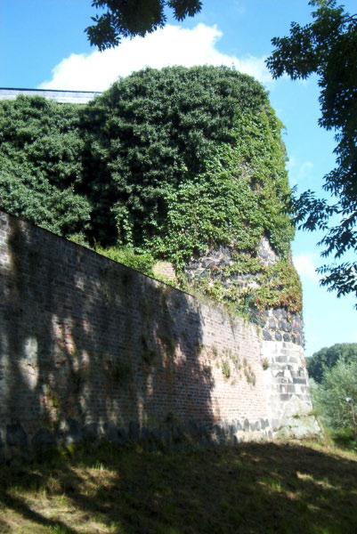 IM004338
