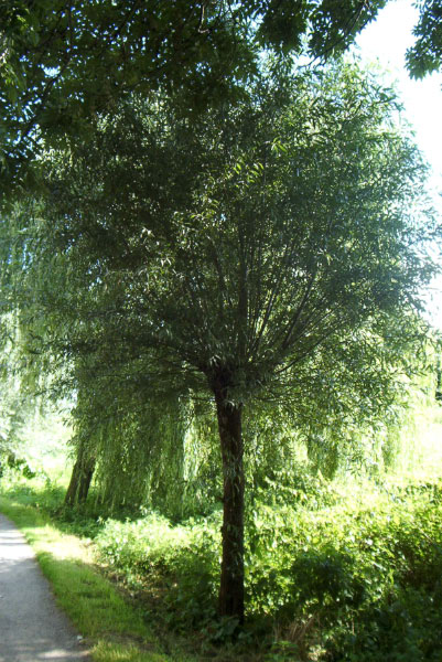 IM004340