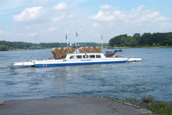 IM004401