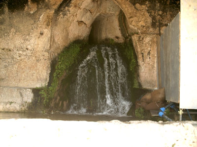 IMAG0054