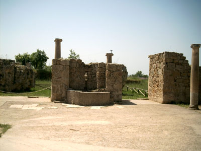 IMAG0015