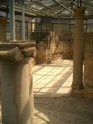 IMAG0041