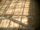IMAG0031