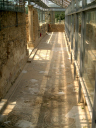 IMAG0036