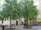 DSC00007