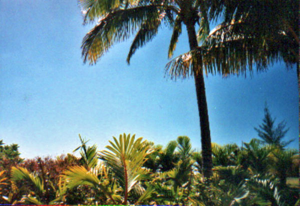 mauritius - pointe aux piments 5_bearbeitet