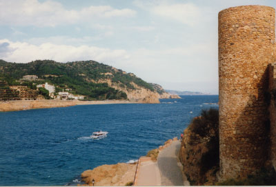 24