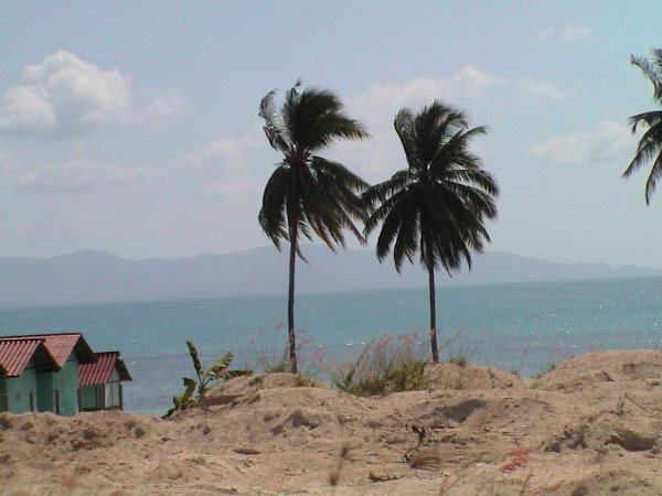 ko pangan4