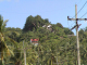 ko pangan2