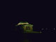 jefferson memorial (1)