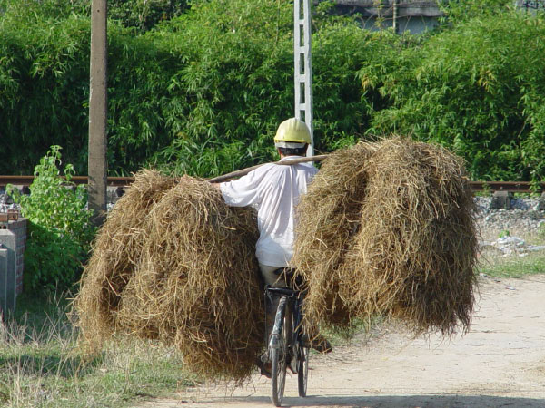 Leben_inVietnam2